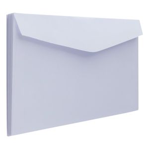 Envelope Ofício sem RPC Scrity 114mm x 229mm 10 unidades