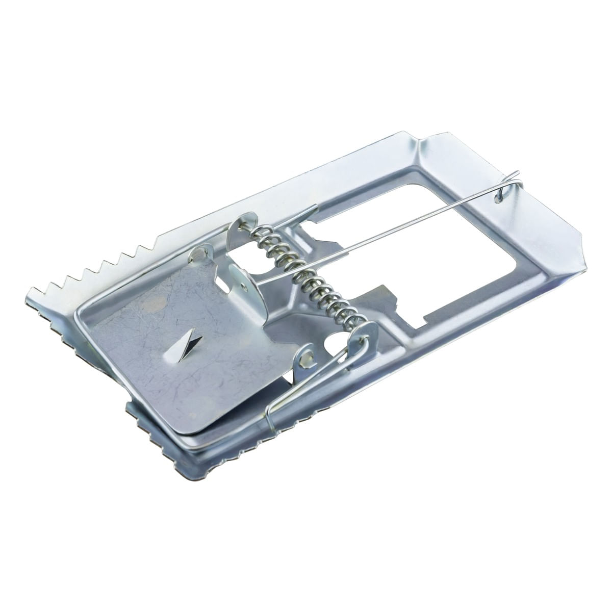 RatoeiradeAoGrandeRoaAngularEsquerda1