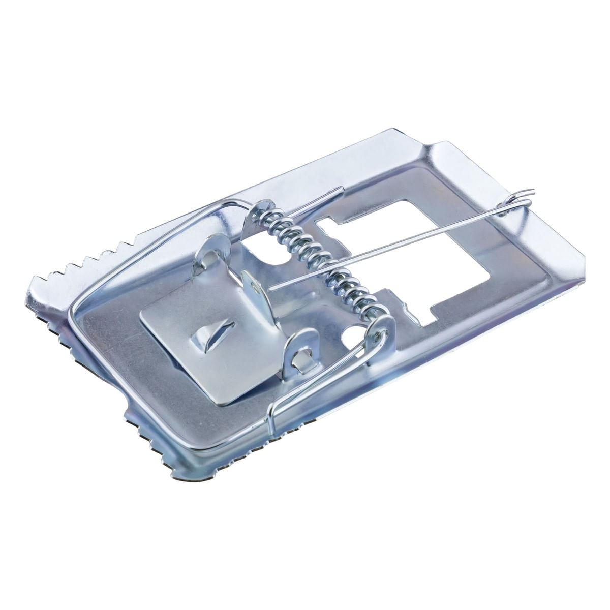 RatoeiradeAoMédiaRoaAngularEsquerda1