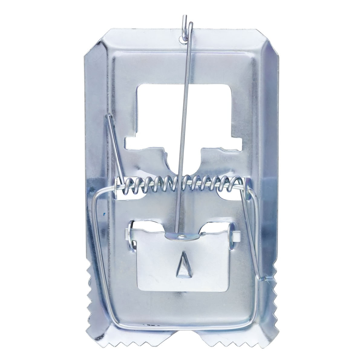 RatoeiradeAoMédiaRoaFrontal2