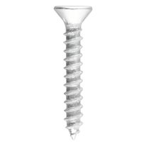Parafuso Phillips para Madeira Cabeça Chata STD 3,8mm x 25mm 20 unidades