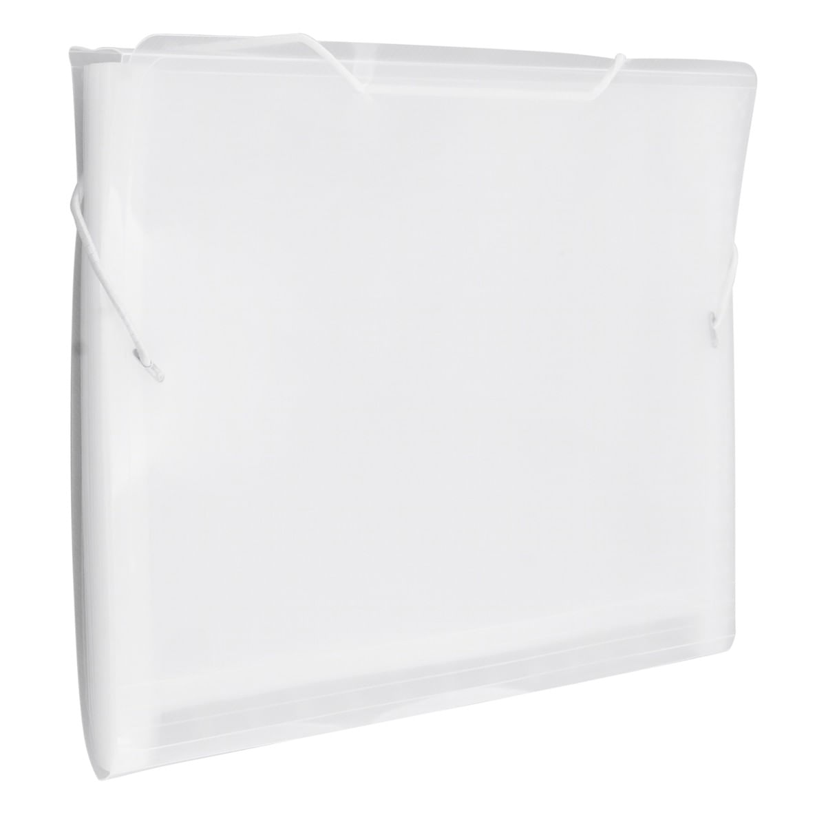 PastaSanfonadaCristalAcpcom12DivisóriasAngularEsquerda2