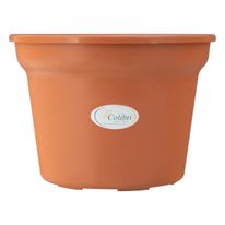 Vaso Plástico Terracota Colibri n.° 03
