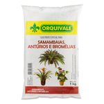 Substrato-para-Samambaias-e-Bromelias-Orquivale-1kgFrontal1