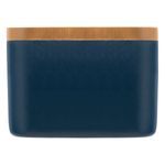Porta-Escova-Dental-Azul-NewproFrontal2
