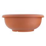 Vaso-Plastico-Terracota-Colibri-Napoli-19cmFrontal2