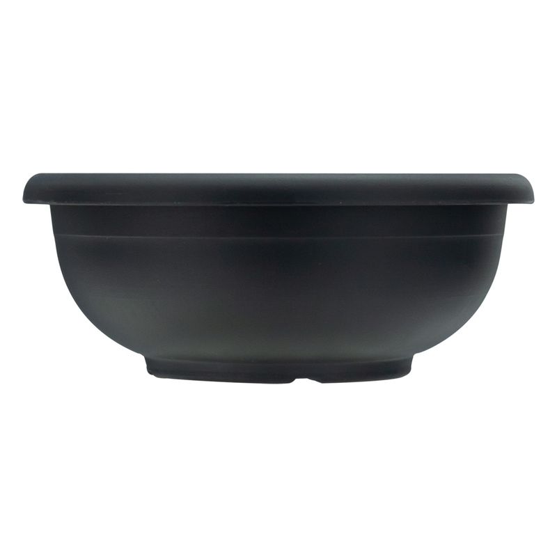 Vaso-Plastico-Preto-Colibri-Napoli-19cmFrontal2