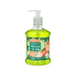 Sabonete-Liquido-Tangerina-e-Cha-verde-Premisse-450ml-111167