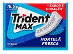 Goma-de-Mascar-Trident-Max-Adams-Hortela-165g-123173