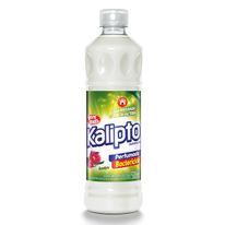 Desinfetante Eucalipto Bombril 500ml