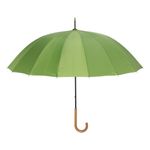 Guarda-Chuva-Ideal-Newpro-Verde-132533