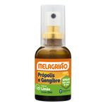 Spray-Sabor-Limao-Melagriao-30ml-Spray-Sabor-Limao-Melagriao-30ml-9797