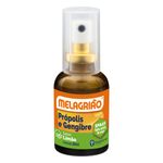 Spray-Sabor-Limao-Melagriao-30ml-Spray-Sabor-Limao-Melagriao-30ml-9802