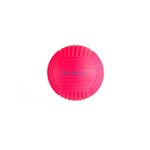 Mini-Bola-Aquatica-Rosa-Vollo-15cm-136084