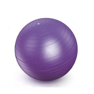 Bola de Ginástica com Bomba de Ar Newpro 45cm