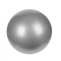 Bola de Ginástica com Bomba de Ar Newpro 55cm