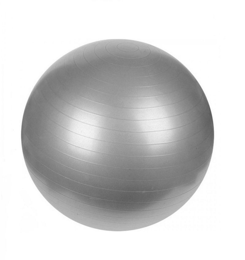 Bola-de-Ginastica-com-Bomba-de-Ar-Newpro-55cm-140231