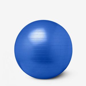 Bola de Ginástica com Bomba de Ar Newpro 65cm