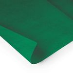 Papel-Crepom-Verde-Bandeira-Ridet-48cm-x-200cm-145012