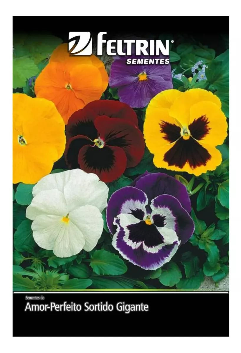 SementesAmorPerfeitoSortidosFeltrin-150715