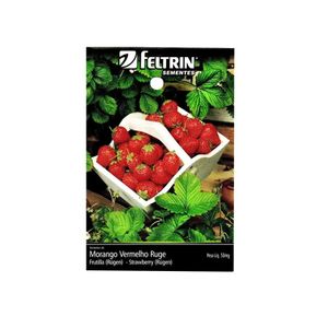 Sementes Morango Vermelho Ruge Feltrin