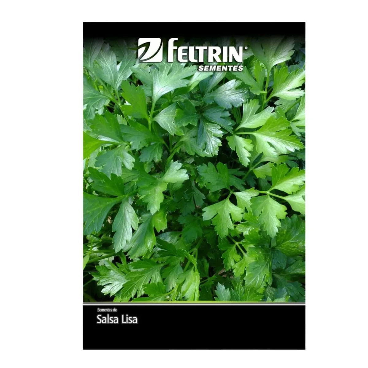 SementesSalsaLisaFeltrin-150728