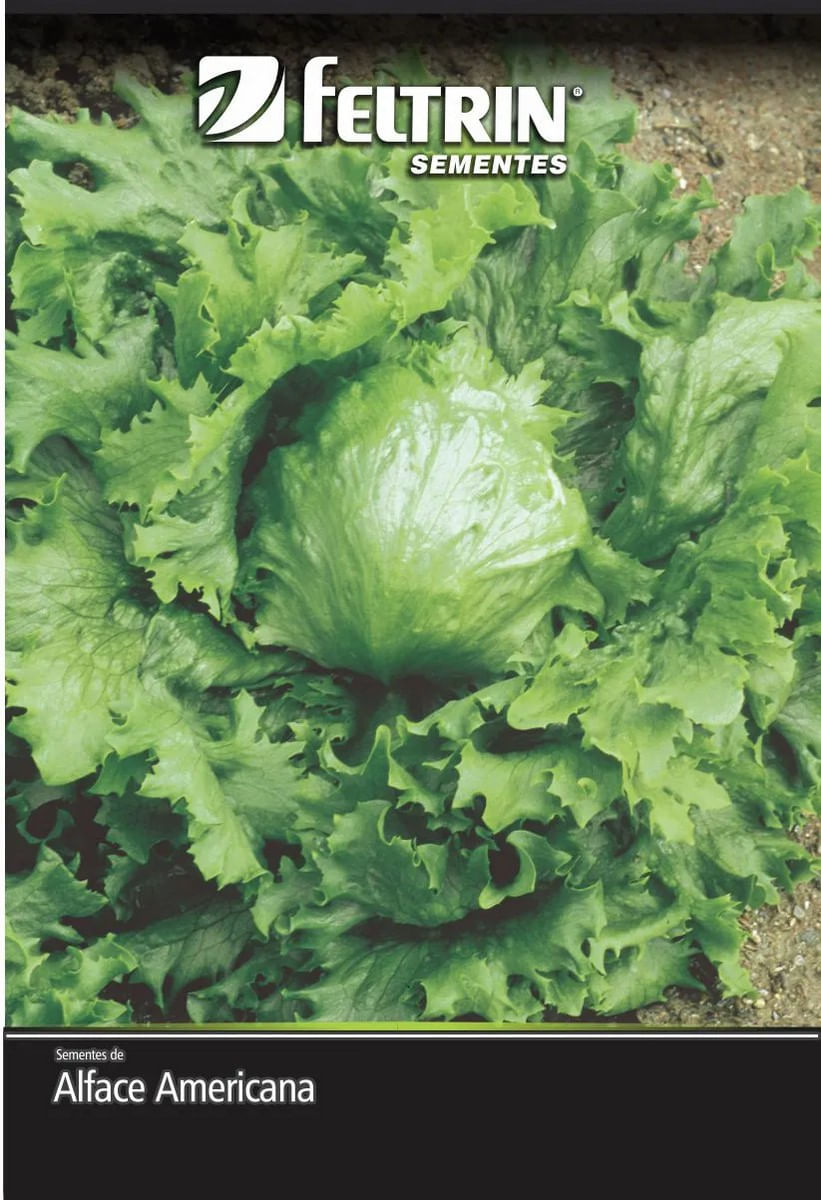 SementesAlfaceRafaelaAmericanaFeltrin-150675