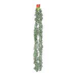 Festao-de-Natal-Nevado-Verde-Powner-1-Fita-9cm-x-2m-138992