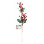 Galho-Big-Cherry-Powner-50cm-139065