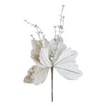 Flor-Grow-Champanhe-Powner-22cm-142255