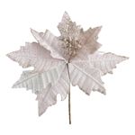 FlorEloiseRosaPowner26cm-142258