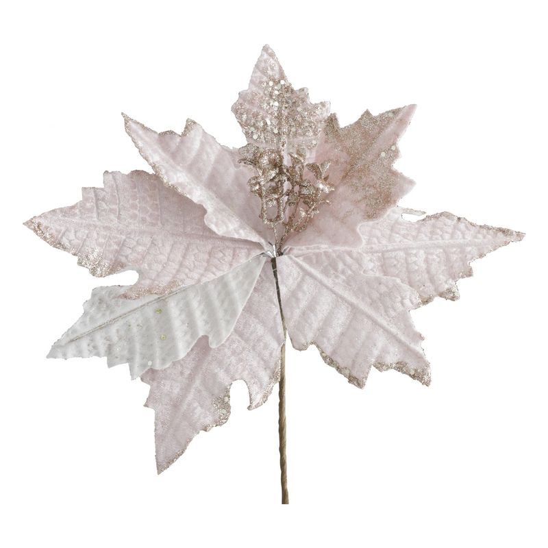 FlorEloiseRosaPowner26cm-142258