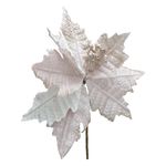 FlorEloiseRosaPowner26cm-142259