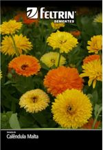 Sementes-Calendula-Malta-Feltrin-151408