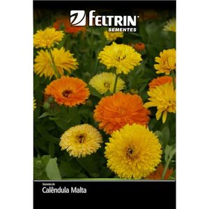 Sementes Calêndula Malta Feltrin