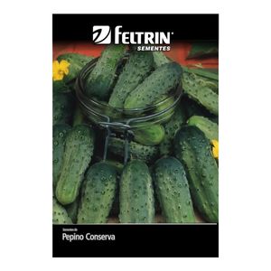 Sementes Pepino Wisconsin Feltrin