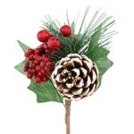 GalhoCherryPowner18cm-153454