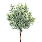 GalhoNaturalPowner22cm-153466