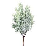 GalhoNaturalPowner22cm-153467