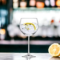 Taça de Cristal para Gin Nude 550ml
