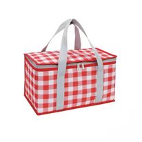 Bolsa Térmica para Picnic Vermelho Newpro 14L