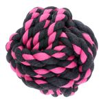 Brinquedo-para-Caes-Bola-Trancada-Ringo-155974