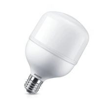 Lâmpada Led Philips 6500K 30W Bivolt