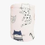 Manta-Infantil-Flannel-Femenina-Andreza-150cm-x-220cm--Produto-Sortido--158344
