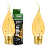 Lampada-de-Led-Filamento-Bico-Torcido-B35-Taschibra-3W-Bivolt-152165