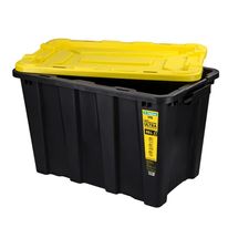 Caixa Organizadora com Tampa Ordene  55L