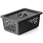 Cesto-Organizador-de-Plastico-com-Tampa-UZ-Cinza-Titanio-5L-160673