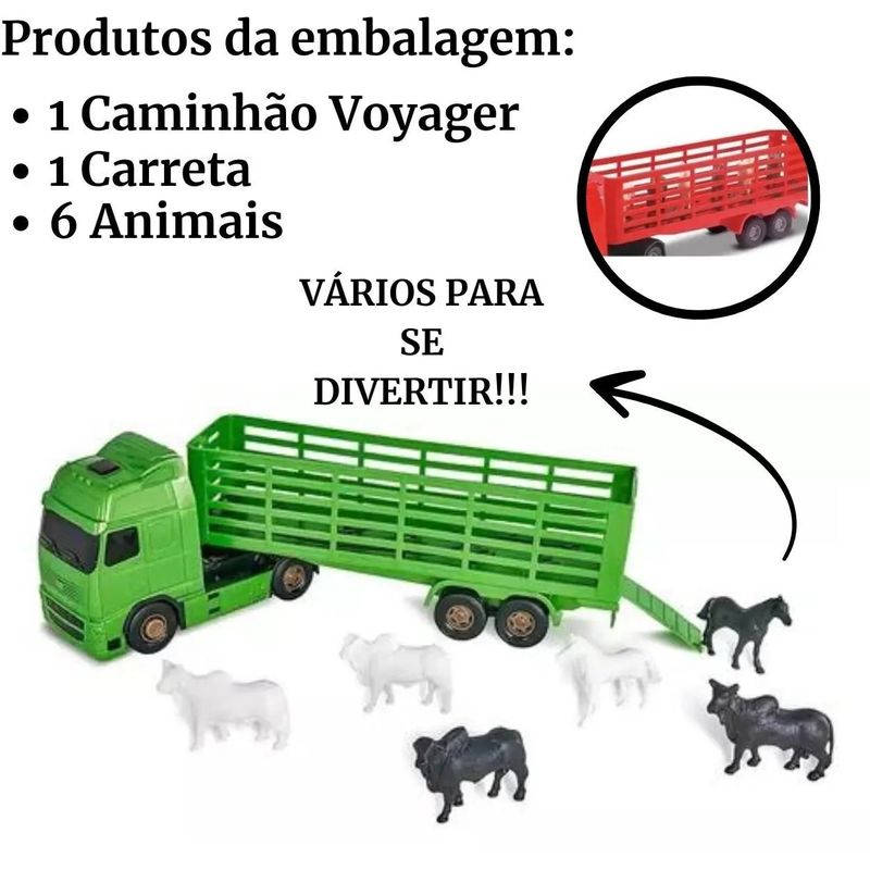 Caminhao-Voyager-Basculante-Sortido-Roma-160809