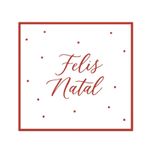 Guardanapo-de-Papel-Feliz-Natal-Cromus-325cm-x-325-20-Pecas-162077