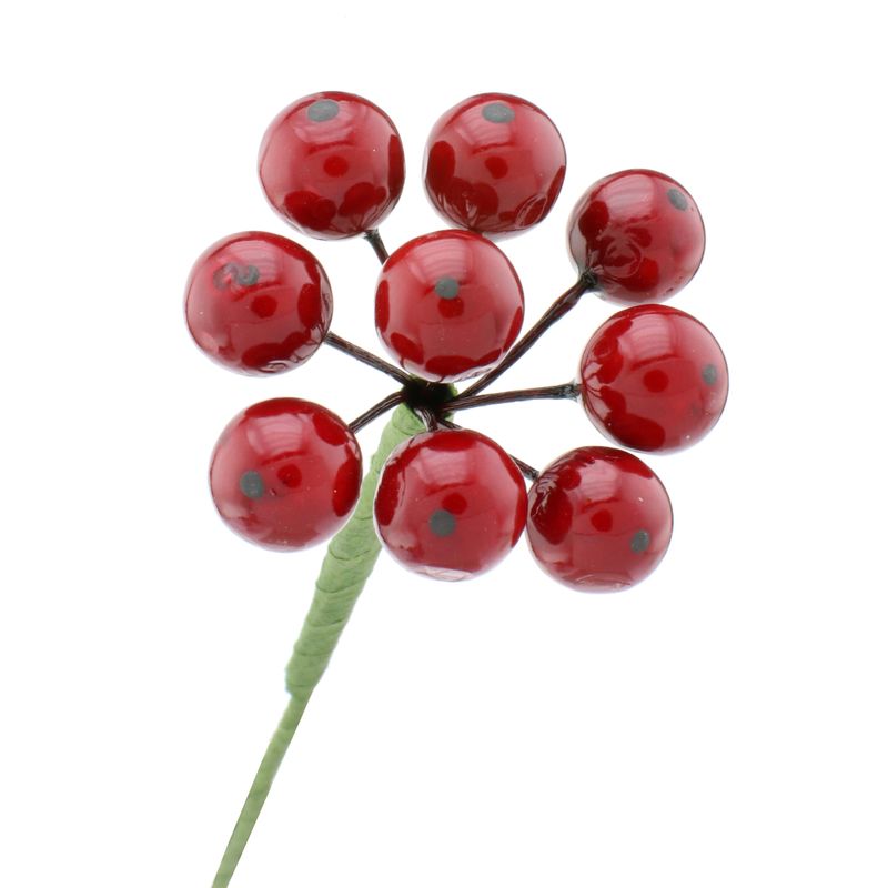 GalhoMiniCherryPowner24cm-162922